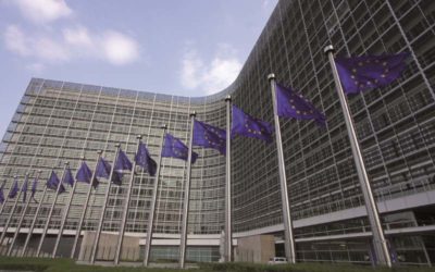 Information from Brussels on Article 74 DelVO